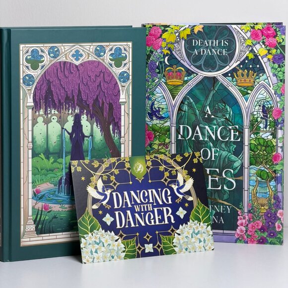 Fairyloot A Dance of Lies by Brittney Areana - Picture 2 of 10